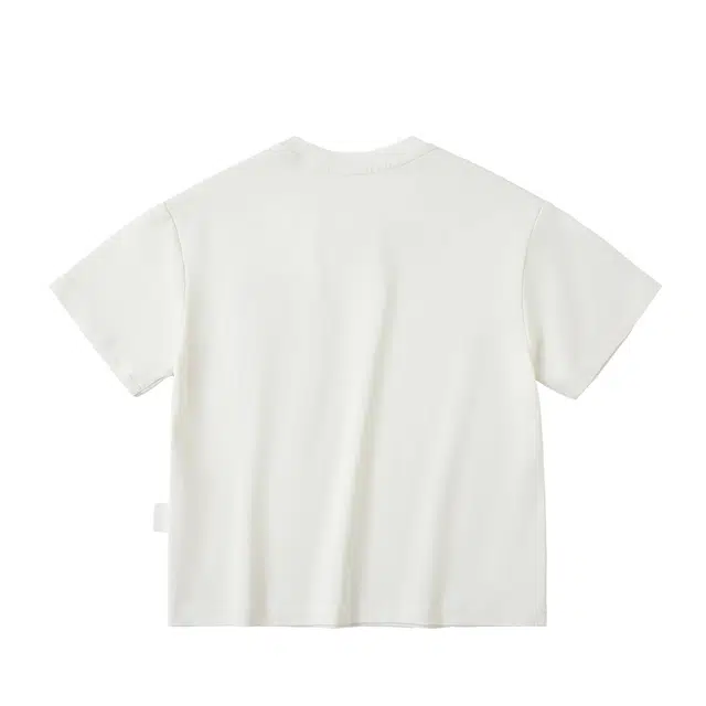 mqdmini T