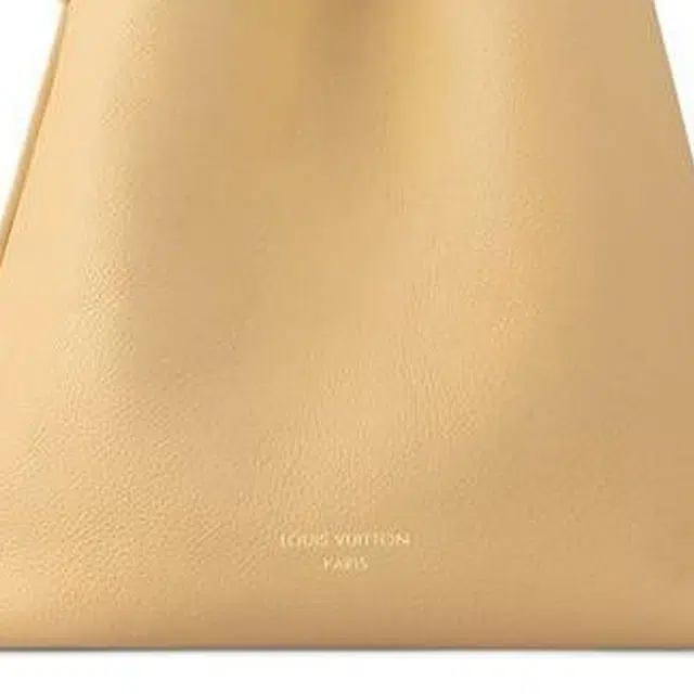 LOUIS VUITTON Low key Hobo PM