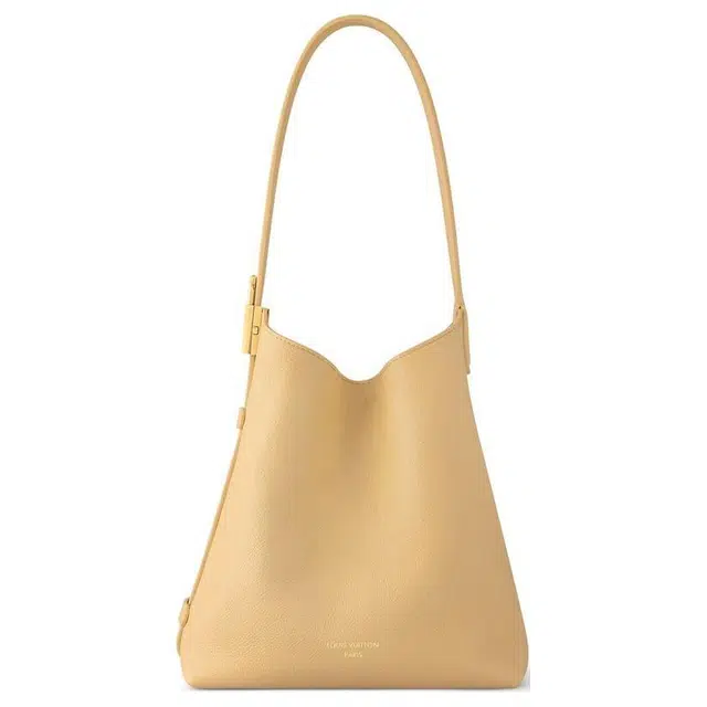 LOUIS VUITTON Low key Hobo PM