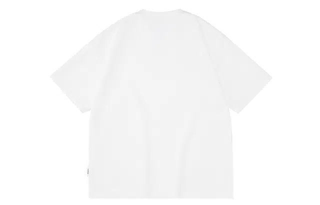 PCLP T