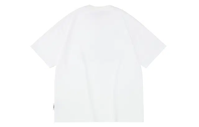 PCLP T