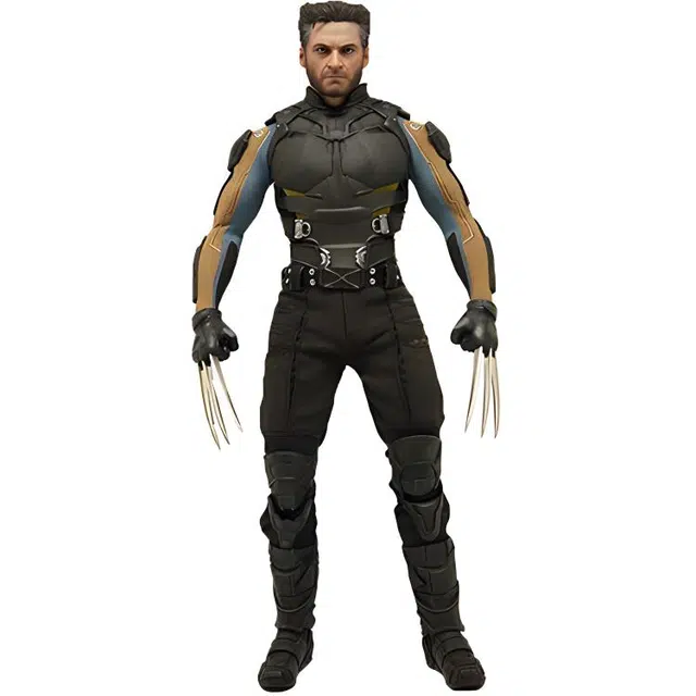 Hot Toys 16 x 16 3.0