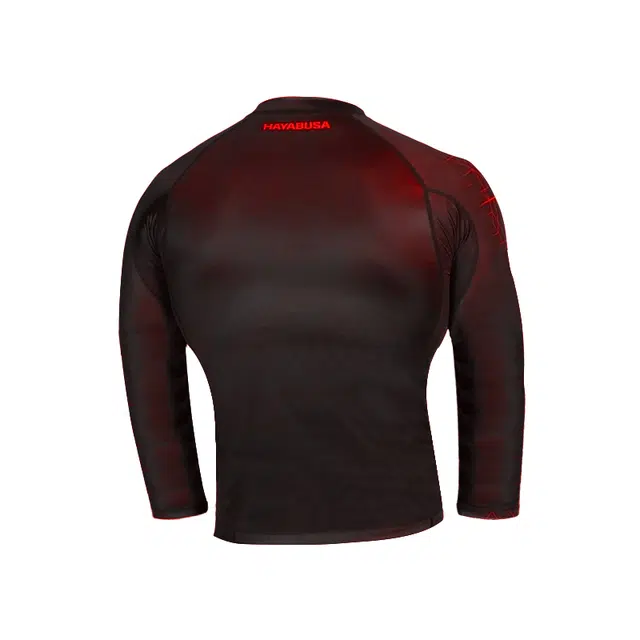 HAYABUSA T