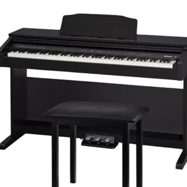Roland () RP30