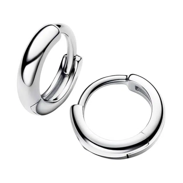 Pandora Earrings Silver