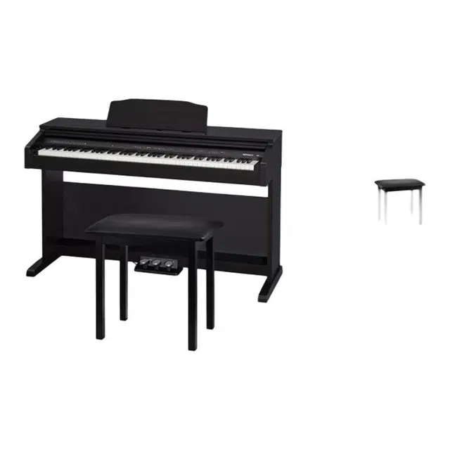 Roland () RP30