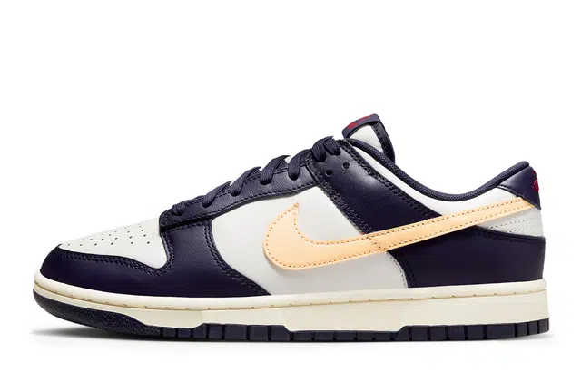 Nike Dunk FZBB