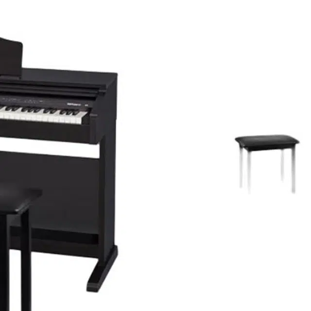 Roland () RP30