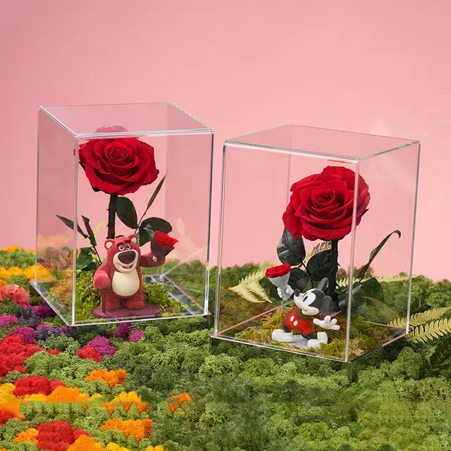 Disney store