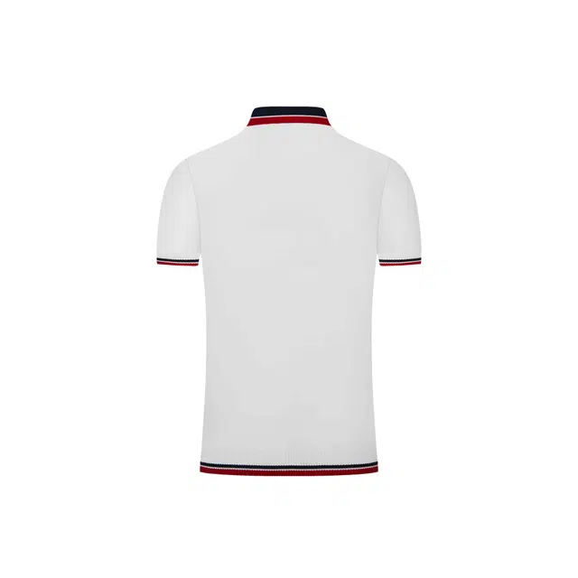 PAINT STAIN Polo