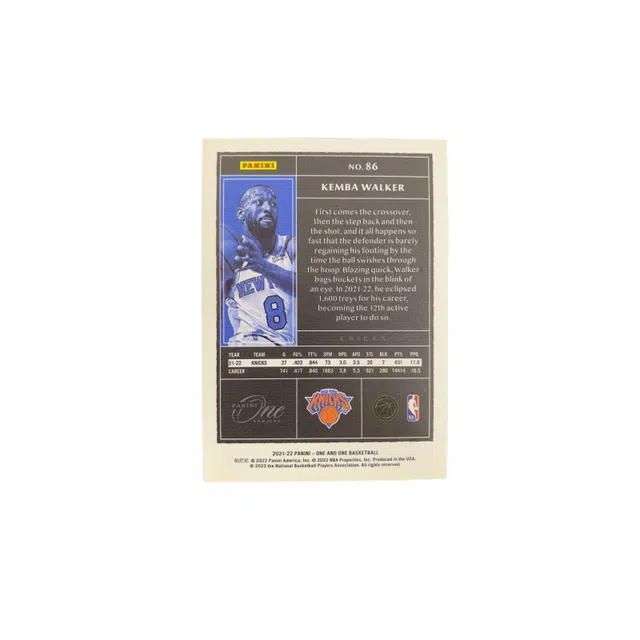PANINI 2021-22 One And One 99