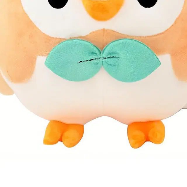 25cm