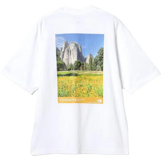 beams T
