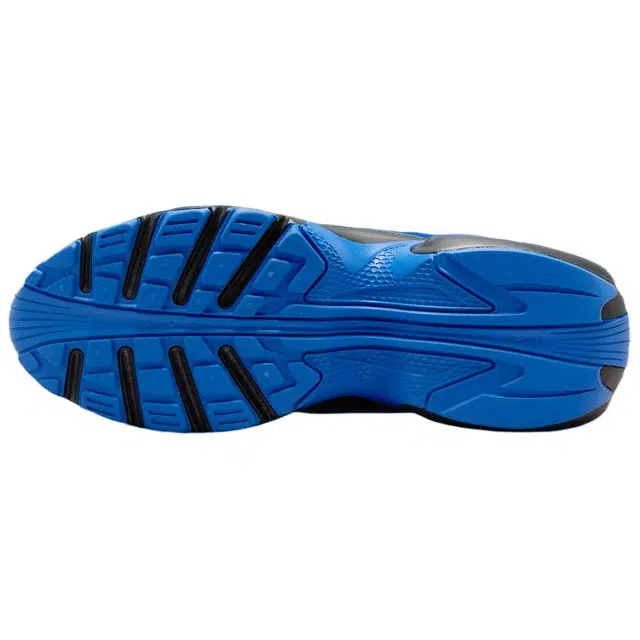Nike AIR MAX PORTALRACER BLUE