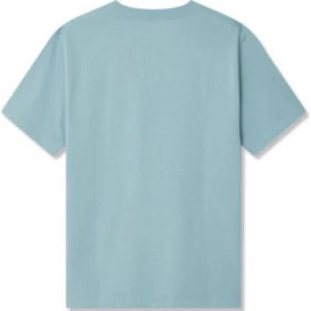 levis T