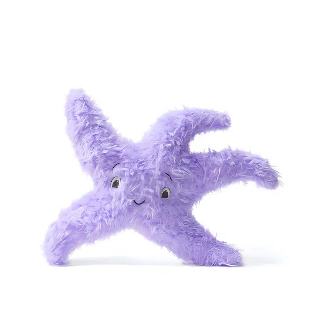 26cm