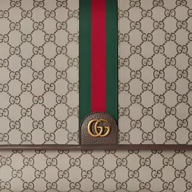 GUCCI Ophidia