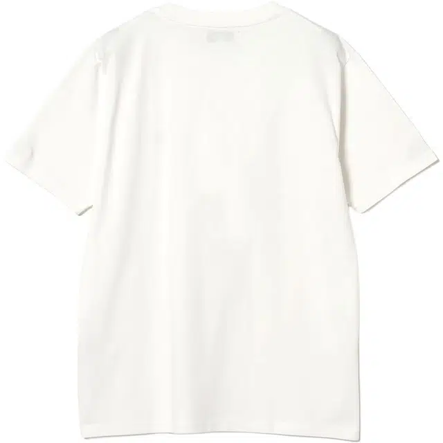 beams T