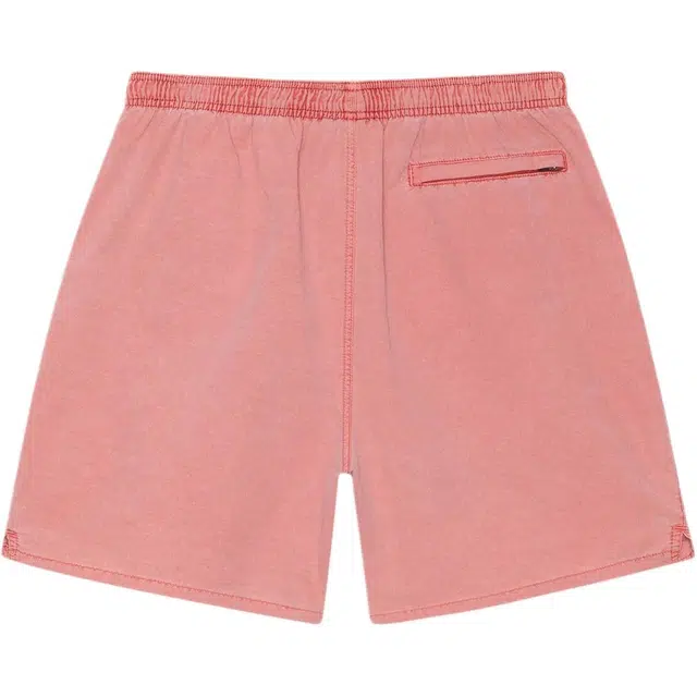 Stussy Water Short