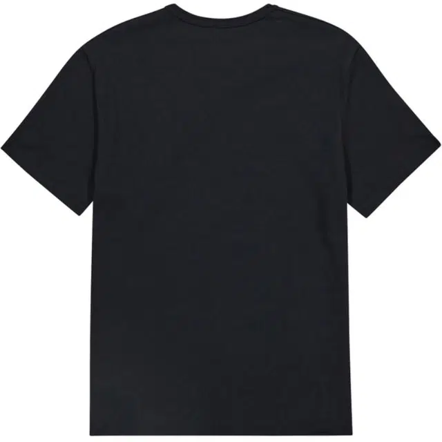 Champion T
