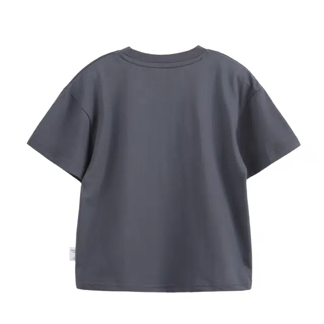 Disney T