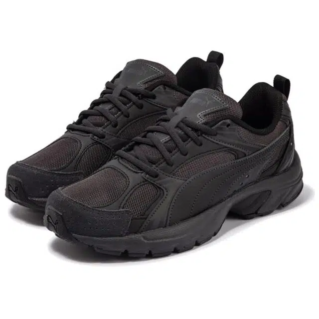 PUMA Milenio