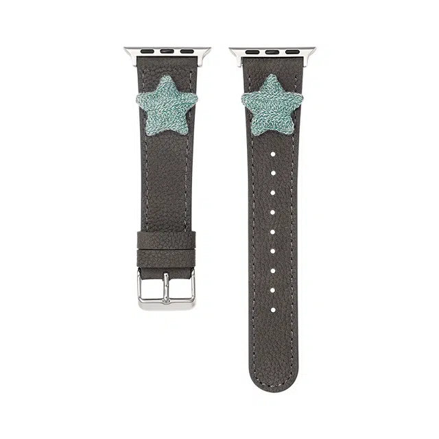 LOVINGCOOL iwatchapplewatch