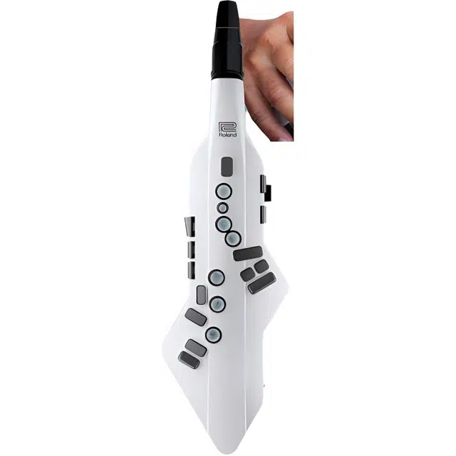 Roland AE05C" Aerophone