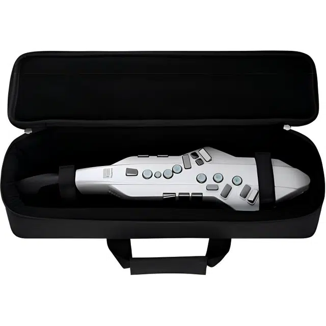 Roland AE05C" Aerophone