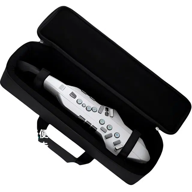 Roland AE05C" Aerophone