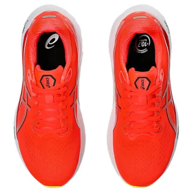 Asics Gel-Kayano 30