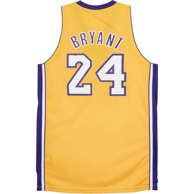 adidas NBA 10--11 SWingman