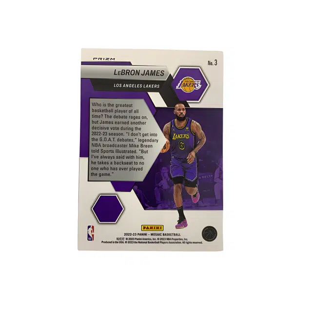 PANINI 2022-23
