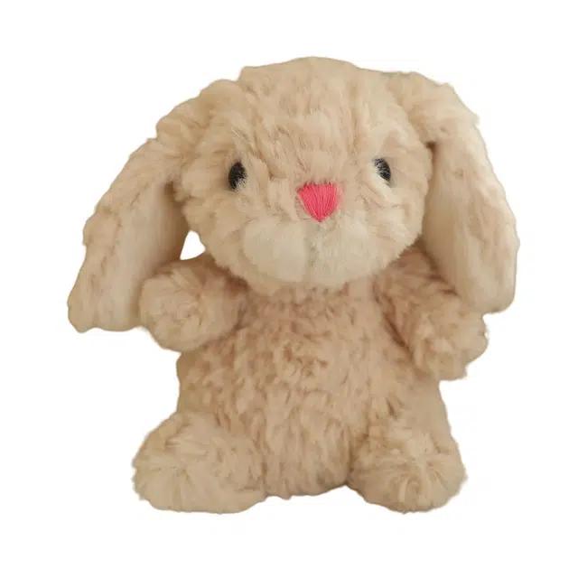 艾情草之恋 儿童陪睡兔子抱枕晚安兔子可爱换装兔兔生日礼品抱枕通用