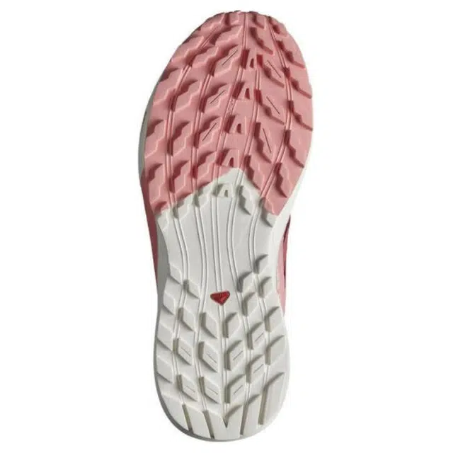 Salomon Sense Ride 5 GTX