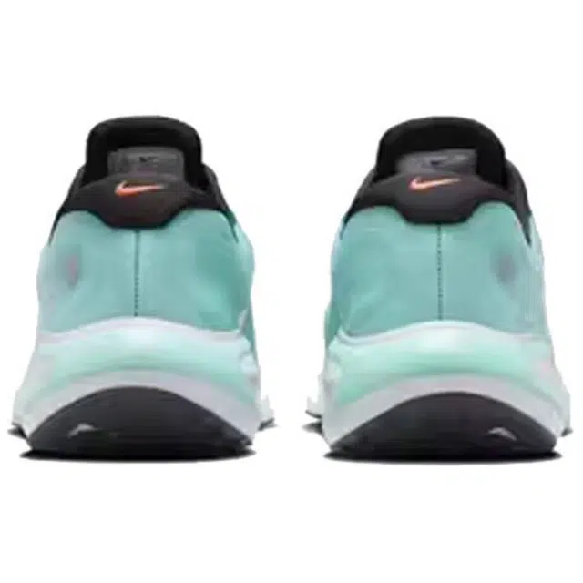 Nike Journey Run