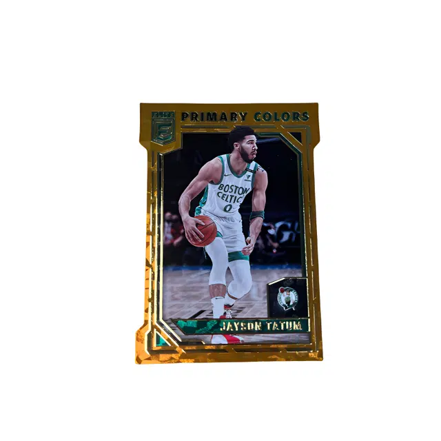 PANINI Elite Primary 2021-2022