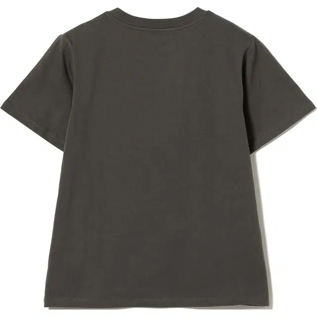 beams T