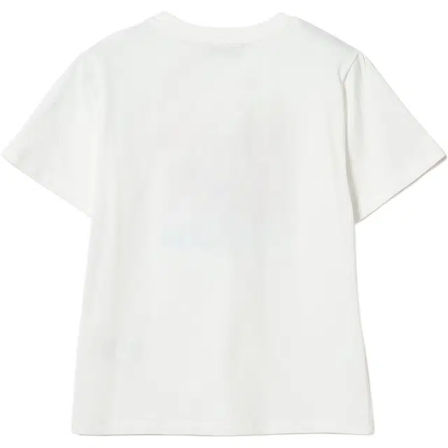 beams T