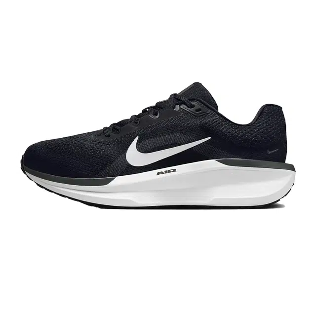 Nike ZOOM Winflo 11