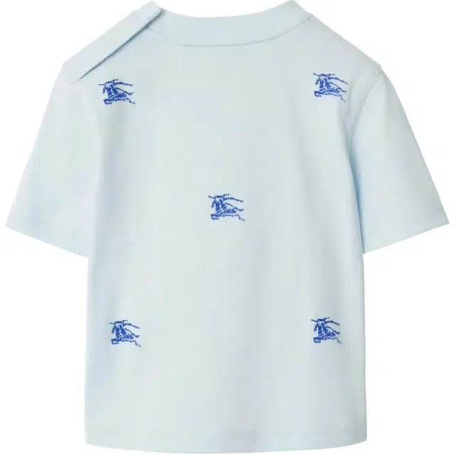 Burberry T