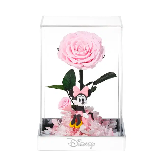 Disney store