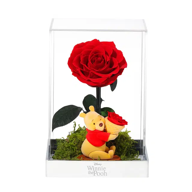 Disney store
