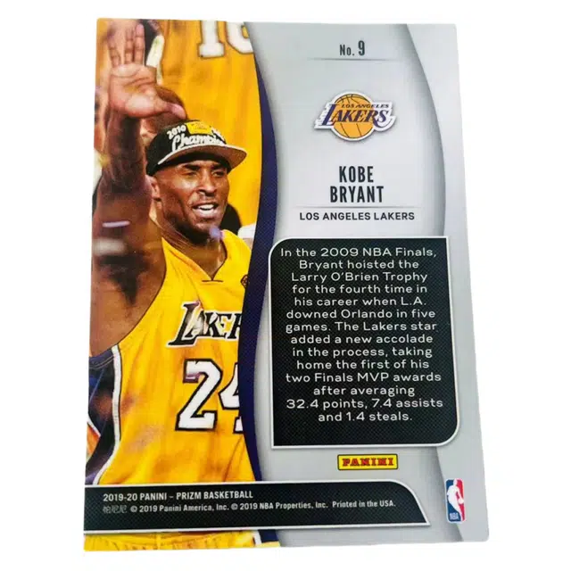 PANINI 19-20 Prizm