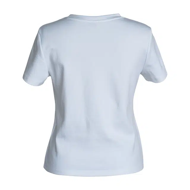 ROEYSHOUSE T