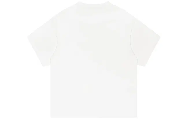 Saotome T
