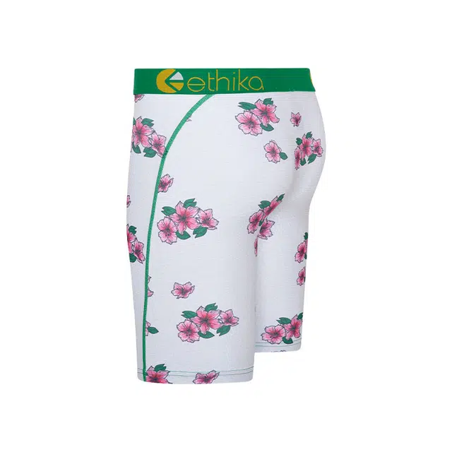 ETHIKA 1