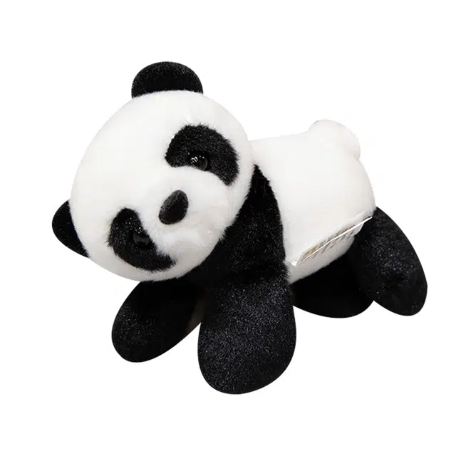 SPECIAL BABY 12cm16cm
