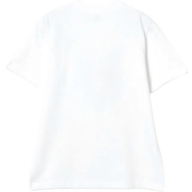 beams T