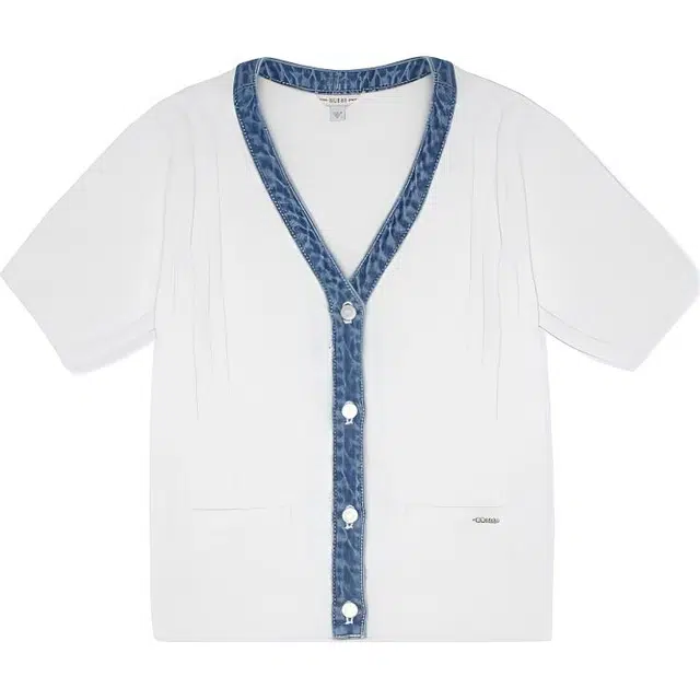 GUESS V